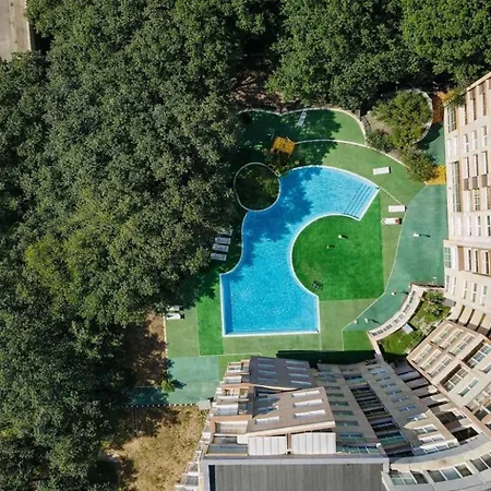 Sunny W/ Pool • 5 Min To Apartment *