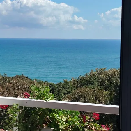 Sunny W/ Pool • 5 Min To Apartment *